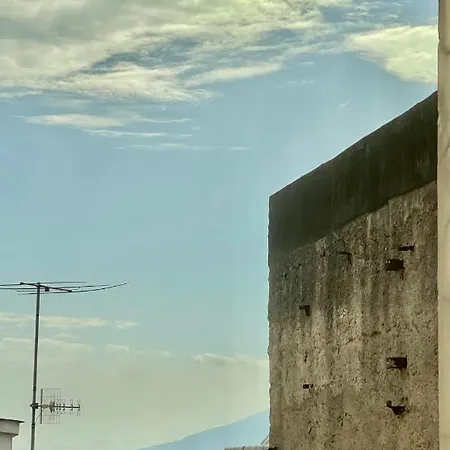 Alma De Luz Design Plebiscito