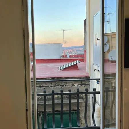 Alma De Luz Design Plebiscito Neapol