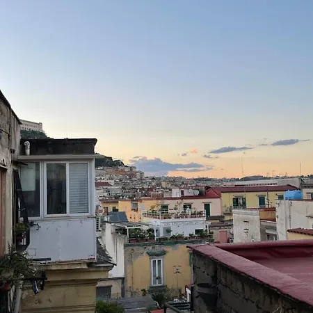Alma De Luz Design Plebiscito Naples